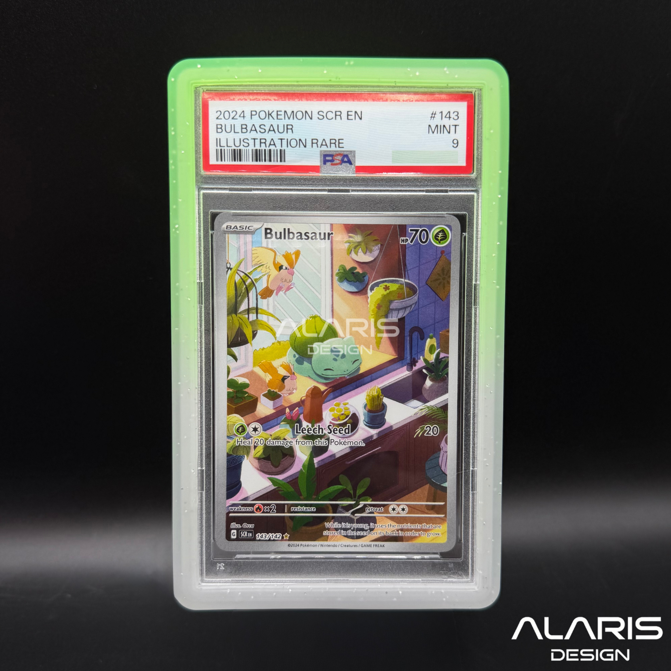 BumperGuard DayBreak Collection