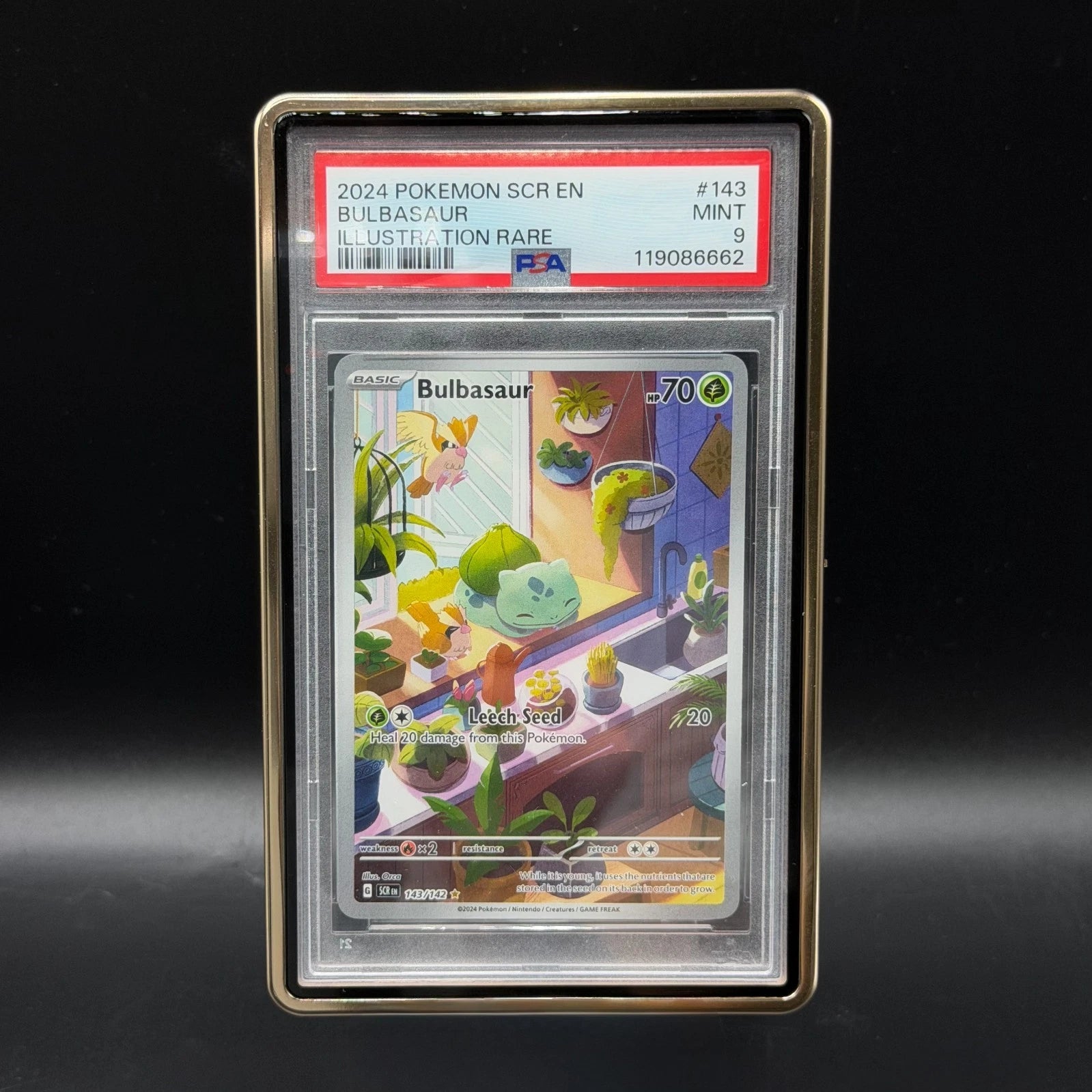 Snap 'N' Lock for PSA Slabs